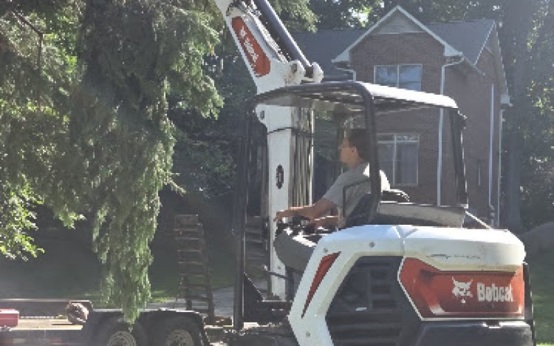 A Tree Co — Tree service in Winston-salem