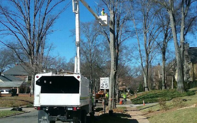 Frady Tree Care — Tree service in Winston-salem
