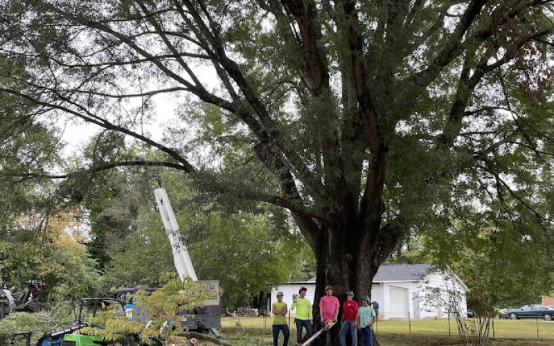 Godspeed Tree Service Inc — Tree service in Winston-salem