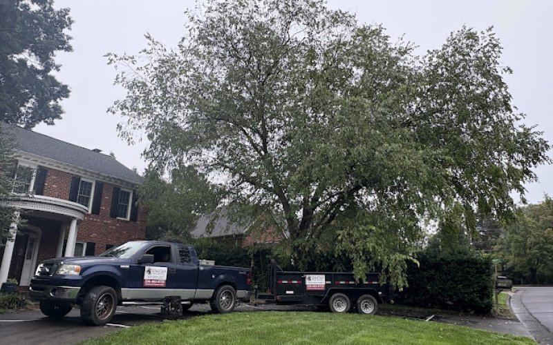 Spartan Tree Service LLC — Tree service in Winston-salem