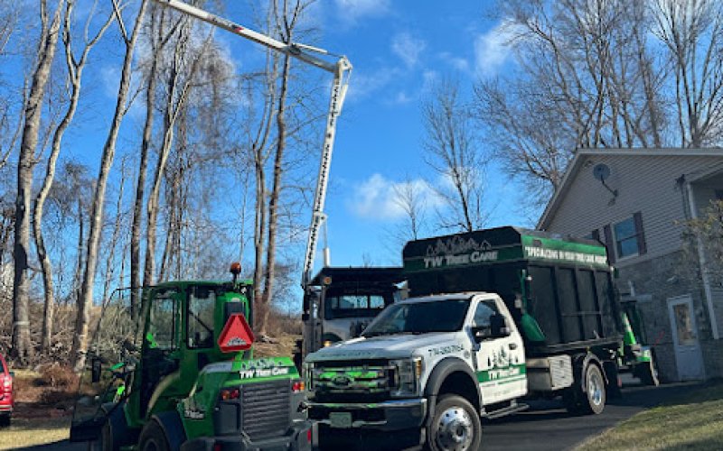 TW Tree Care