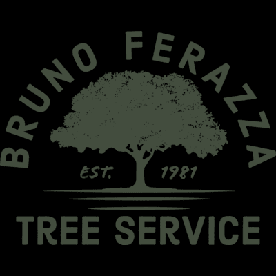 Brunoferazzatreeservice